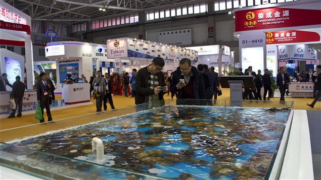 Salon mondial des produits de la mer de Qingdao, en Chine: une occasion en or pour les producteurs de l’Atlantique