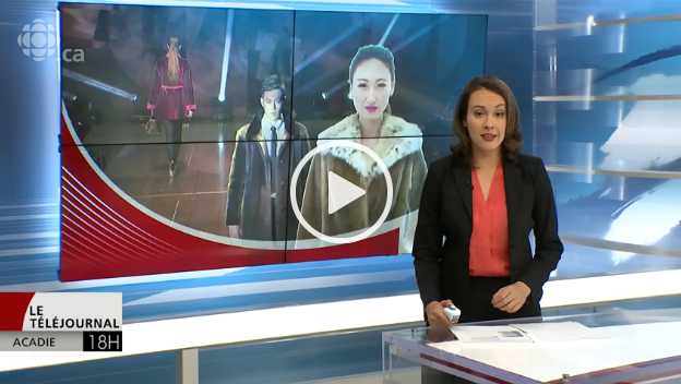 video-phoque