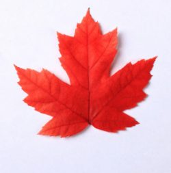 Plus de nouvelles