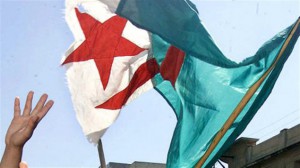 Drapeau algérien qui flotte Crédit photo : AFP / Hocine Zarouar 