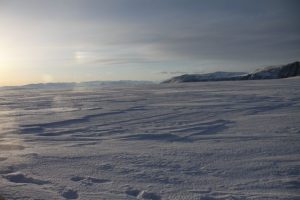 Arctic Landscape