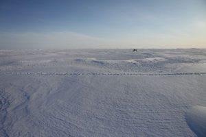 Arctic Landscape