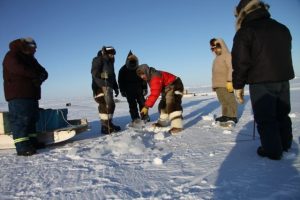 Des chasseurs percent un trou dans la mer glacée pour tendre leurs filets servant à capturer des poissons et des phoques. Photo Levon Sevunts.