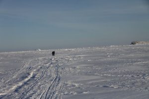 Un chasseur inuit se tient debout au-dessus d’un trou d’air sur la mer glacée. Photo Levon Sevunts.