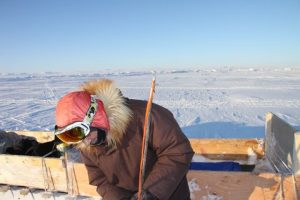 Elijah Pallituq montre comment les chasseurs inuits utilisent leur harpon pour chasser les phoques sous la glace. Photo Levon Sevunts.