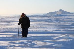 Elijah Pallituq, chasseur et guide inuit, arpente les fissures sur la mer glacée à la recherche des trous d’air qu’utilisent les phoques pour respirer. Photo Levon Sevunts.