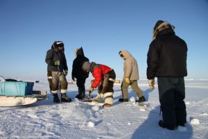 Des chasseurs percent un trou dans la mer glacée pour tendre leurs filets servant à capturer des poissons et des phoques. Photo Levon Sevunts.