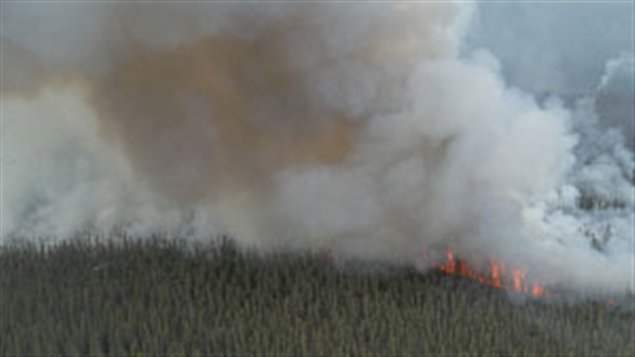 Feu de forêt près de Mayo au Yukon. ( Yukon Wildland Fire Management)