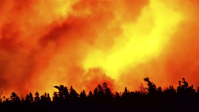 Feu de forêt faisant rage. (iStock)