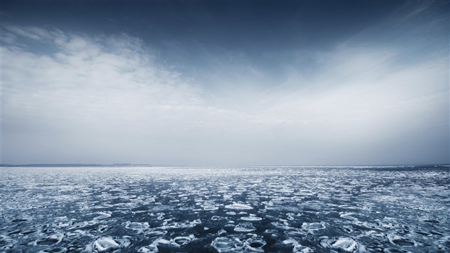 (Arctique / iStockphoto)
