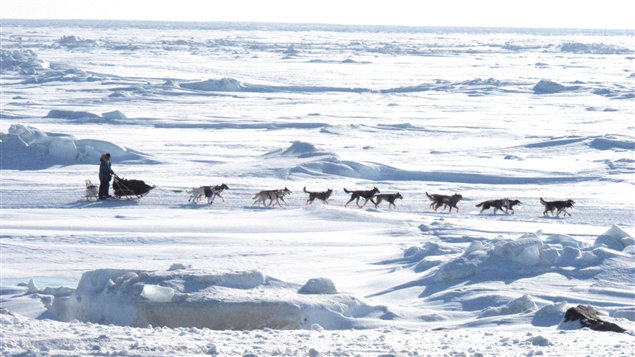 Traîneau à chiens sur la mer de Béring (Mark Thiessen / AP)