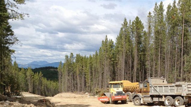 Le développement immobilier Raven's Ridge Estates de Whitehorse Photo : ravensridge.ca / Radio-Canada