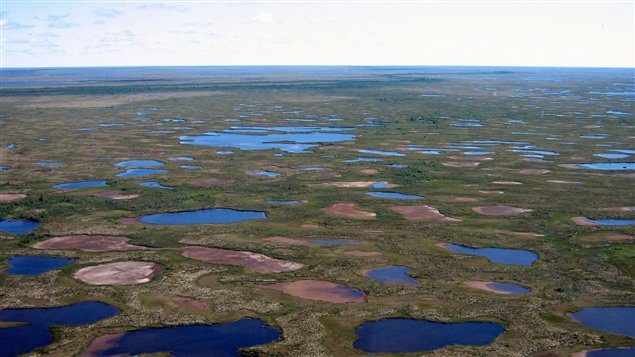 Lacs desséchés dans le Parc national Wapusk près de Churchill, dans le nord du Manitoba. (Photo prise par H.White, juillet 2013)