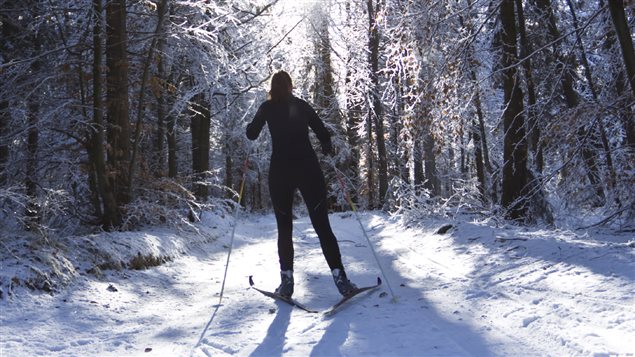 Ski de fond en forêt. (iStockPhoto)