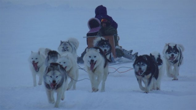 Les mushers Allen Gordon et Manngi Kooktlook de Kuujjuaq. (Alec Gordon)