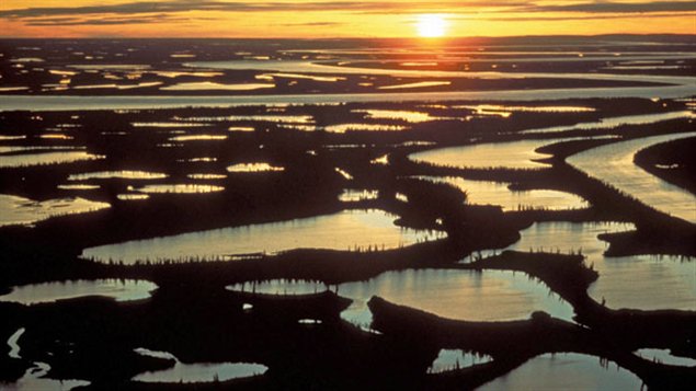 The Mackenzie delta, vastly important in the earth'ls climate. Photo Credit: M. Milne/Northwest Territories Government/The Canadian Press)
