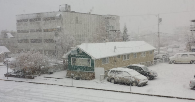 Dix centimètres de neige doivent s'abattre sur Whitehorse au cours de la journée. (James Miller/ICI Radio-Canada)