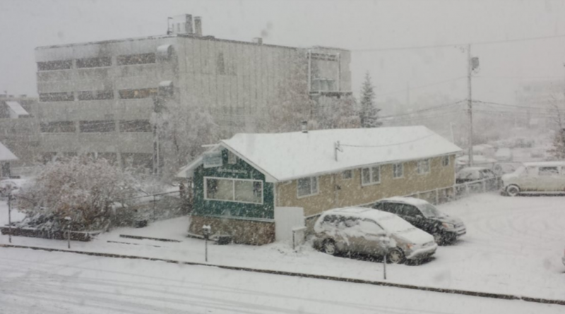 Dix centimètres de neige doivent s'abattre sur Whitehorse au cours de la journée. (James Miller/ICI Radio-Canada)