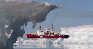 Le brise-glace Henry Larsen à Allen Bay, au Nunavut, le 25 août 2010. (Sean Kilpatrick / La Presse Canadienne)