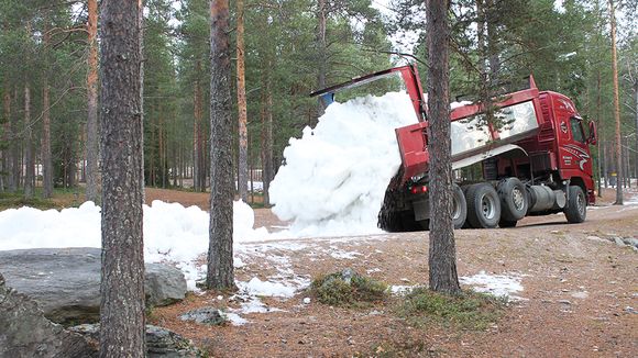 Trucks dumped snow recycled from last winter in the forests of Ounasvaara. (Sauli Antikainen / Yle)