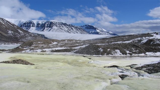 Le glacier en question a été découvert par les scientifiques canadiens Steve Grasby et Benoit Beauchamp il y a environ 25 ans. Ils avaient alors été frappés par sa couleur jaune inhabituelle, causée par une concentration de soufre inhabituelle prisonnière dans ses glaces (Stephen Grasby / Ressources naturelles Canada)
