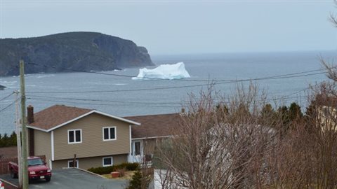 Un iceberg devant le village de Torbay ce week-end dernier. (CBC News)