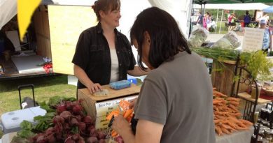 Le marché de fermiers à Whitehorse tous les jeudis de l'été est le principal point de vente pour les producteurs locaux. (Leonard Linklater/ ICI Radio-Canada)