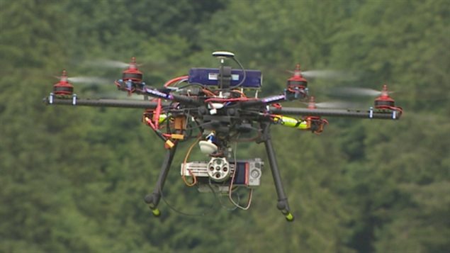Le Yukon cherche à moderniser sa loi sur la faune en fonction des nouvelles technologies. (ICI Radio-Canada)