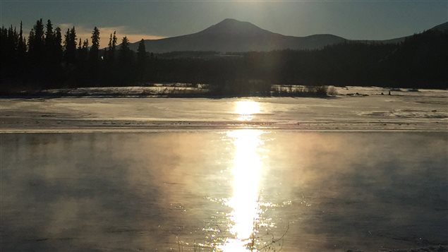 Les températures au Yukon se sont réchauffées au cours des 50 dernières années, surtout l'hiver. (Claudiane Samson/ICI Radio-Canada)