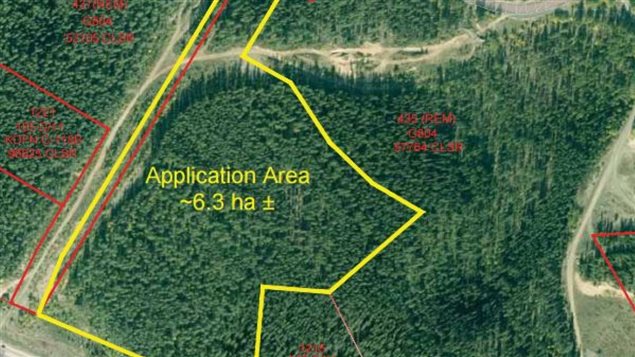 Carte du site de disc golf proposé à la Ville de Whitehorse. Photo : Ville de Whitehorse