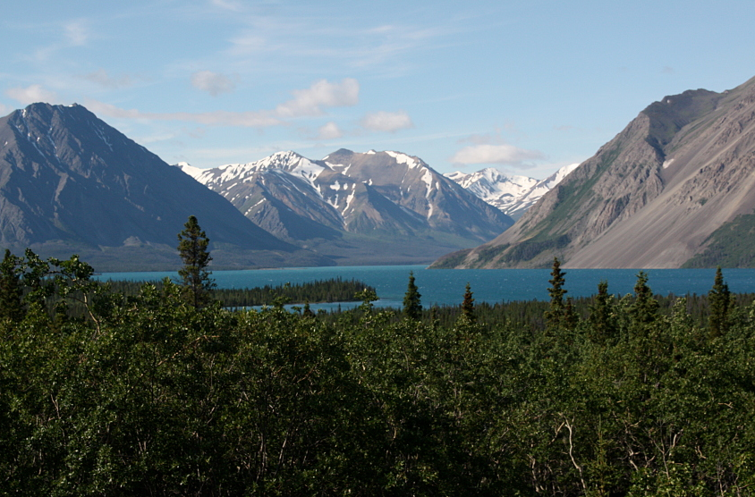 Dans le parc national Kluane, les employés de Parcs Canada ont remarqué que les activités de reproduction des grenouilles avaient lieu plus tôt cette année. (iStock)