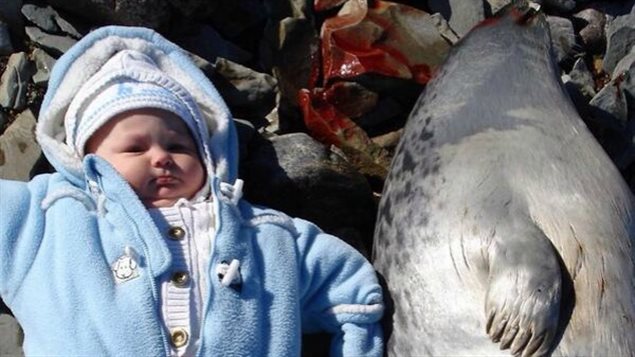 Cette photo de la petite fille de Tanya Tagaq étendue à côté d’un phoque abattu a déclenché toute une polémique. (via CBC.ca)