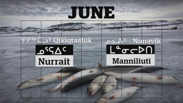 12-mois-langue-inuite-calendrier-nord-canada-5