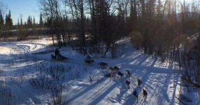 repos-mi-course-pour-chiens-traineaux-yukon-quest