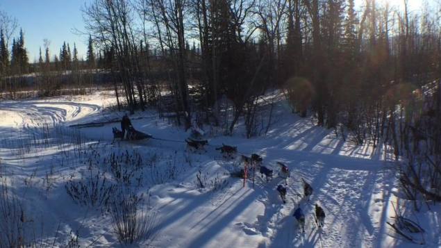 repos-mi-course-pour-chiens-traineaux-yukon-quest