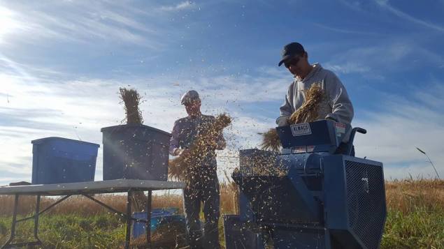 conserver-des-semences-dans-larctique-pour-les-generations-futures