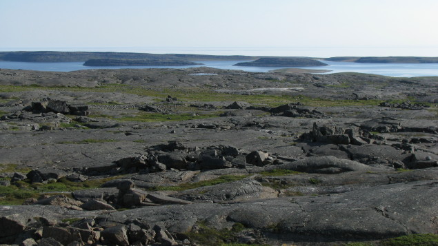 plus-anciennes-formes-de-vie-sur-terre-trouvees-dans-le-nord-du-quebec-1