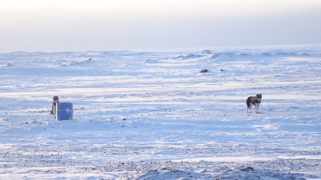 resolute-bay-communautes-plus-nordiques-canada-11-photos-4