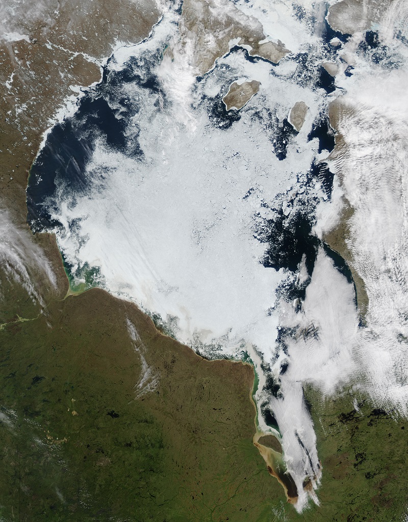 les-renards-polaires-de-la-baie-dhudson-sont-victimes-du-rechauffement-climatique-1