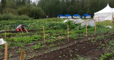 une-ferme-ecole-pour-les-trondek-hwechin-du-yukon