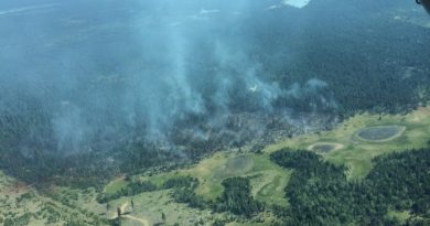 une-dizaine-de-feux-de-foret-en-24-heures-dans-le-nord-ouest-canadien