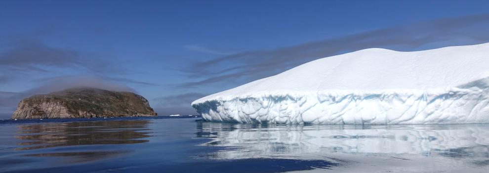 aller-au-nunavut-et-constater-notre-impact-sur-les-oiseaux-4