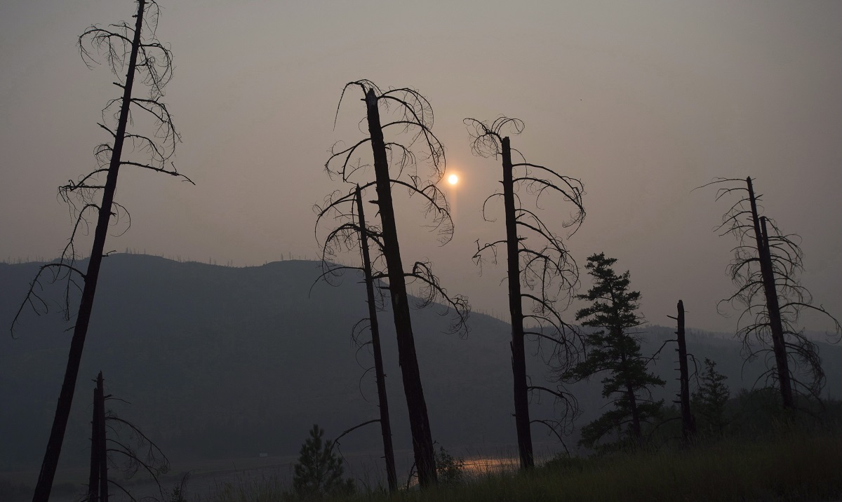 comprendre-limpact-des-feux-de-foret-sur-les-communautes-autochtones-du-canada