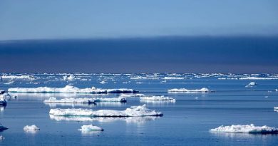 les-changements-climatiques-bouleversent-lhabitat-des-ours-polaires-3