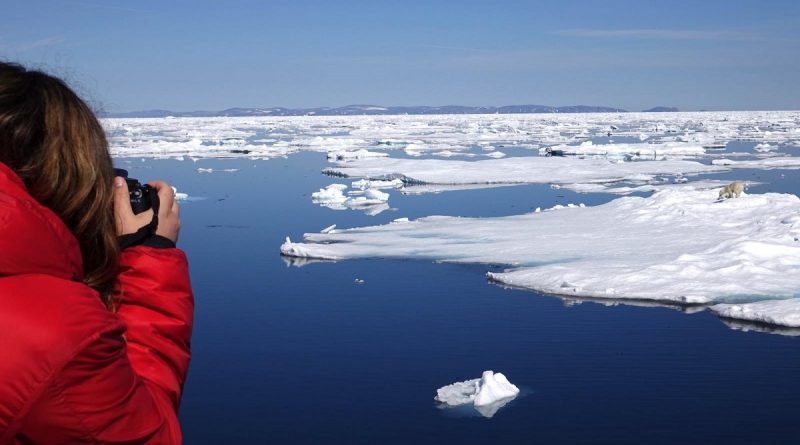 les-changements-climatiques-bouleversent-lhabitat-des-ours-polaires-7
