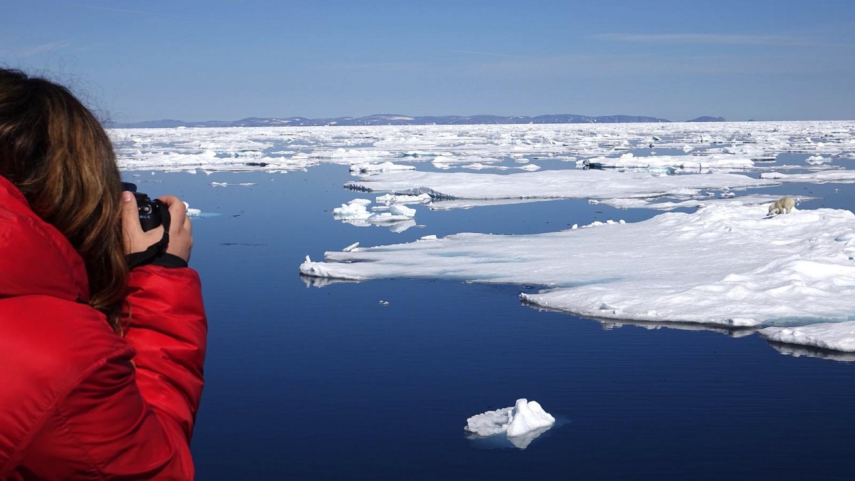 les-changements-climatiques-bouleversent-lhabitat-des-ours-polaires-7