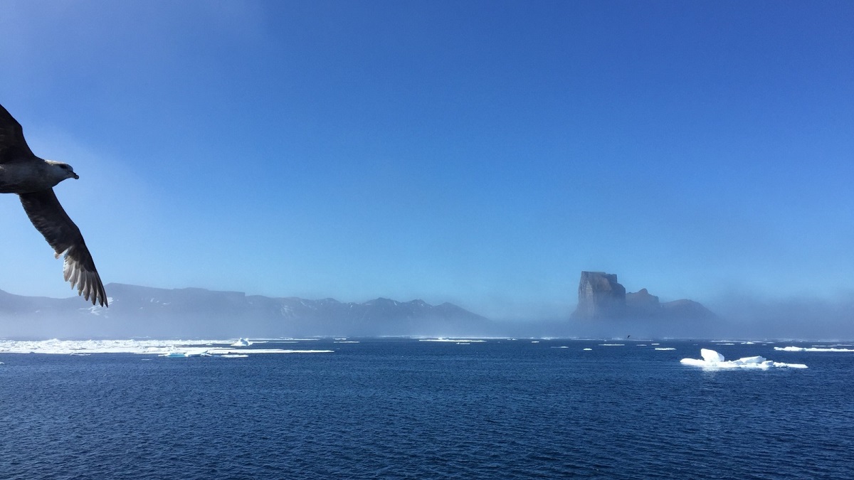 les-tresors-de-lile-padloping-au-nunavut-3