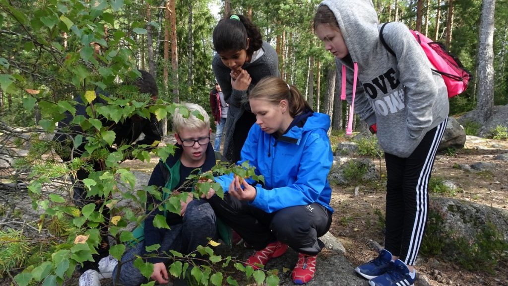 faire-la-classe-dans-la-foret-finlandaise-7