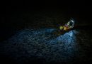 La pollution lumineuse perturberait la vie marine en Arctique