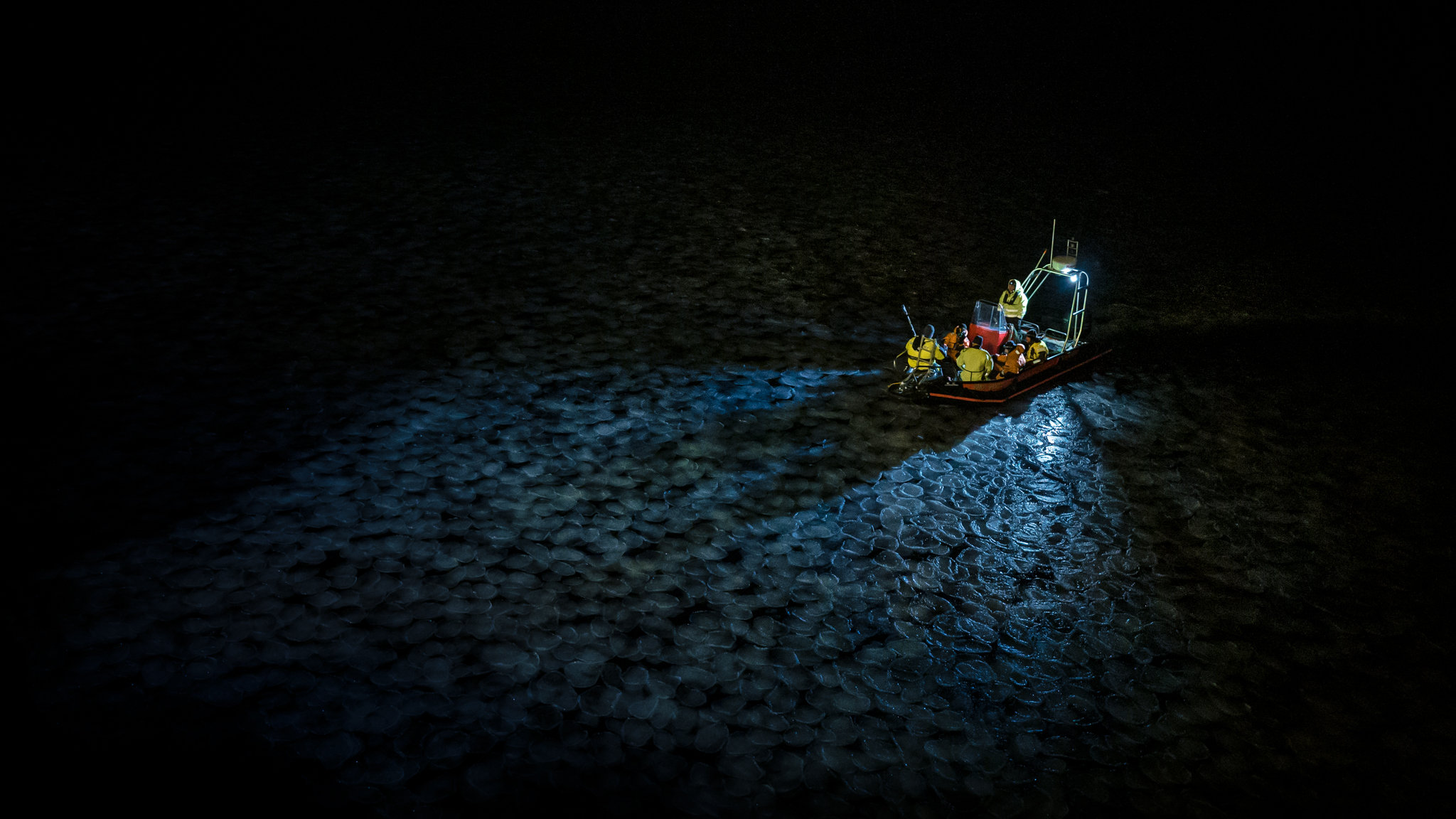 La lumière émise par les faisceaux lumineux des navires constitue une pollution lumineuse qui perturberait la vie marine de la région arctique, selon une récente étude. Une fois que le vaisseau de recherche auxiliaire atteint une distance de 185 m par rapport au navire principal Helmer Hanssen, ils éteignent tous leurs feux pendant 15 minutes pour mener les expériences de pollution lumineuse.<br />(Photo : Michael O. Snyder) l’équipe de recherche à bord du vaisseau de recherche auxiliaire du navire Helmer Hanssen